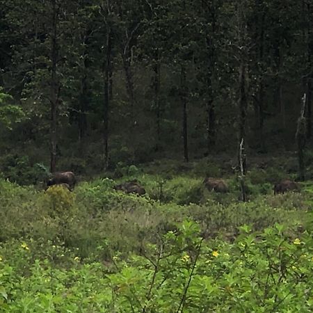 Lotus Jewel Forest Camping Sultan Bathery Zewnętrze zdjęcie